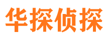 滨湖市私家侦探